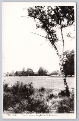 RPPC The Green Englefield Green Surrey Birch Tree Topography