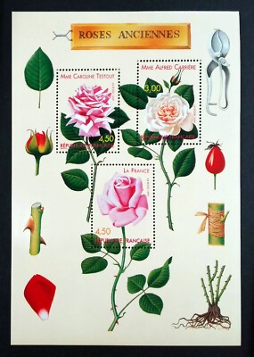 FRANCE Fleurs Bloc feuillet roses anciennes 1999 Neuf** MNH c48b | eBay