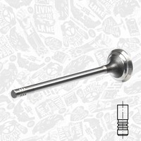 ET Engineteam Auslassventil VE0055 FüR VW Ford Peugeot Crafter CitroËN Fiat 50 4