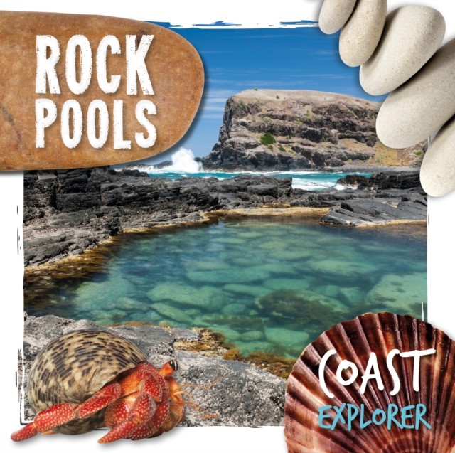 Rock Pools by Robin Twiddy (Hardback Book)