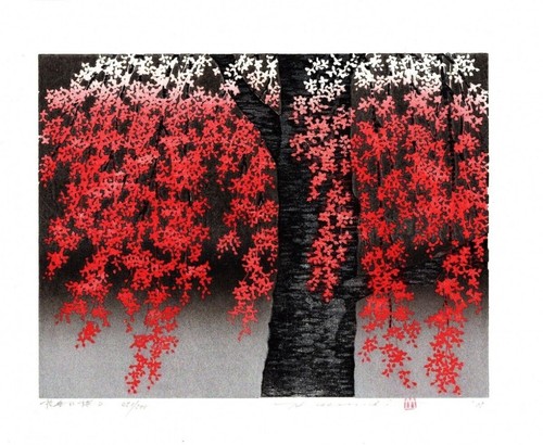 Impresión en bloque de madera Hajime Namiki cereza llorona 2 30x37 cm 2005 limitada a 200 - Imagen 12 de 24