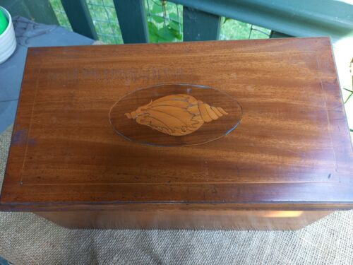 Small Antique Hinged Lid Mahogany Box Casket with Boxwood Shell Design Inlay - Zdjęcie 1 z 20