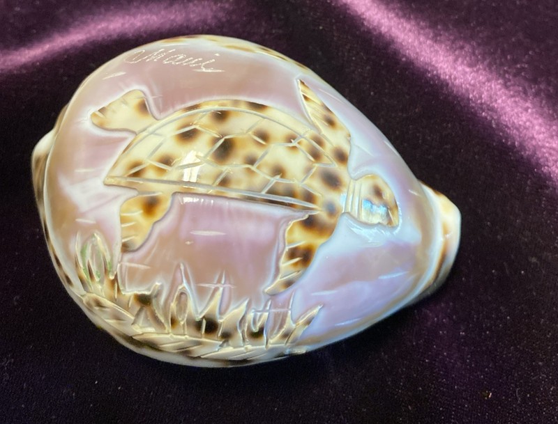 Vintage Hand Carved Tiger Cowrie Shell Sea Sea Turtle Scene Maui