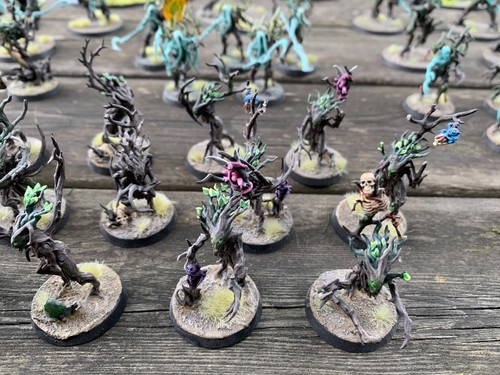 Sylvaneth Age of Sigmar Painted army - Picture 14 of 18