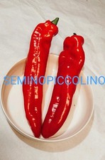 40 Semi Peperone Corno Rosso Dolce Semi Di Produzione Propria