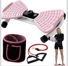 Waist Twister Machine Exercise