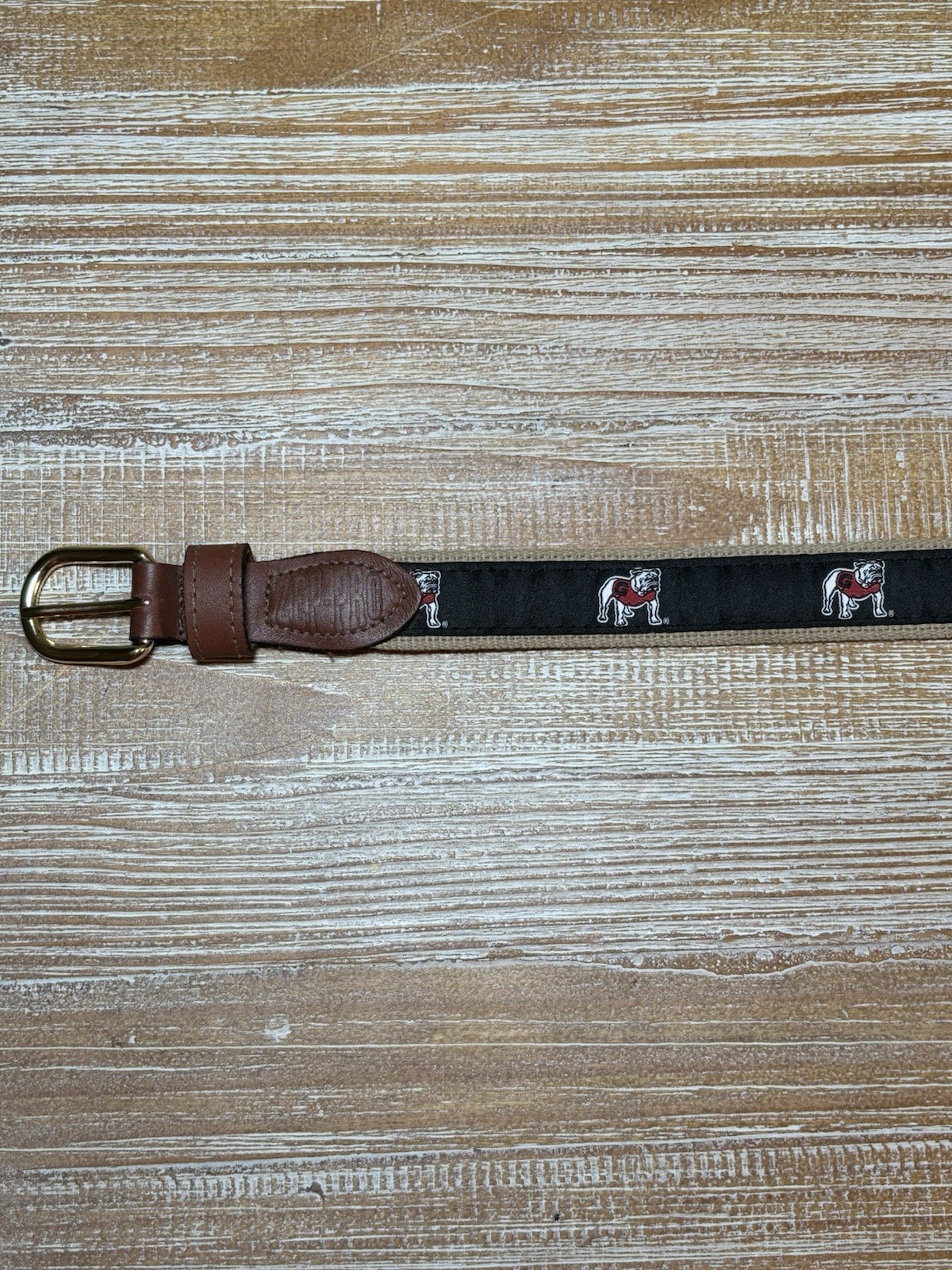 Foto 1 di 8