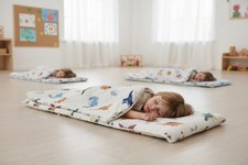 Dinosaur Napmat- White