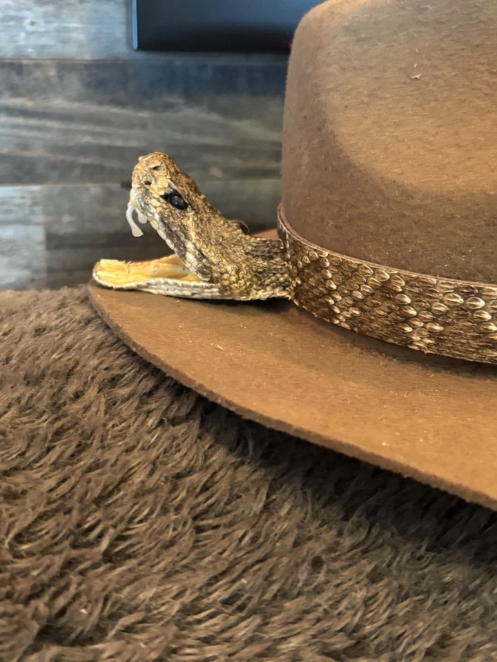 Banda de sombrero de serpiente de cascabel Diamondback real con cabeza y sonajeros. Foto 3 de 4