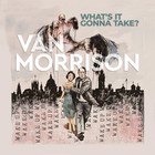 Van Morrison What's It Gonna Take (CD) Album Mintpack