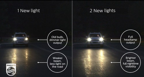 Philips LongerLife 7443 25/6W Two Bulbs DRL Daytime Light Replacement Lamp Stock - Picture 7 of 7