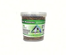 GC - Songbird Essentials - Dried Meal Worms - 7 oz. Tub