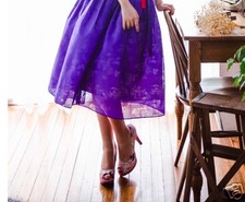 Oriental Ballet tutu Modern Hanbok                  free size