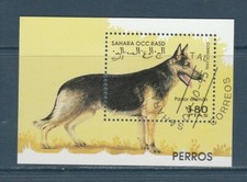 BLOC  nature faune CHIEN   BERGER ALLEMAND SAHARA  OCCIDENTAL oblitéré