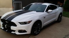 Fits Ford Mustang All 10 Inch Racing Twin Vinyl Stripes Graphic Decals 36 Feet