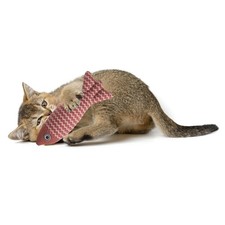Fish Shaped Bite Resistant Catnip Cat Chew Playing, Red 21 x 5cm 