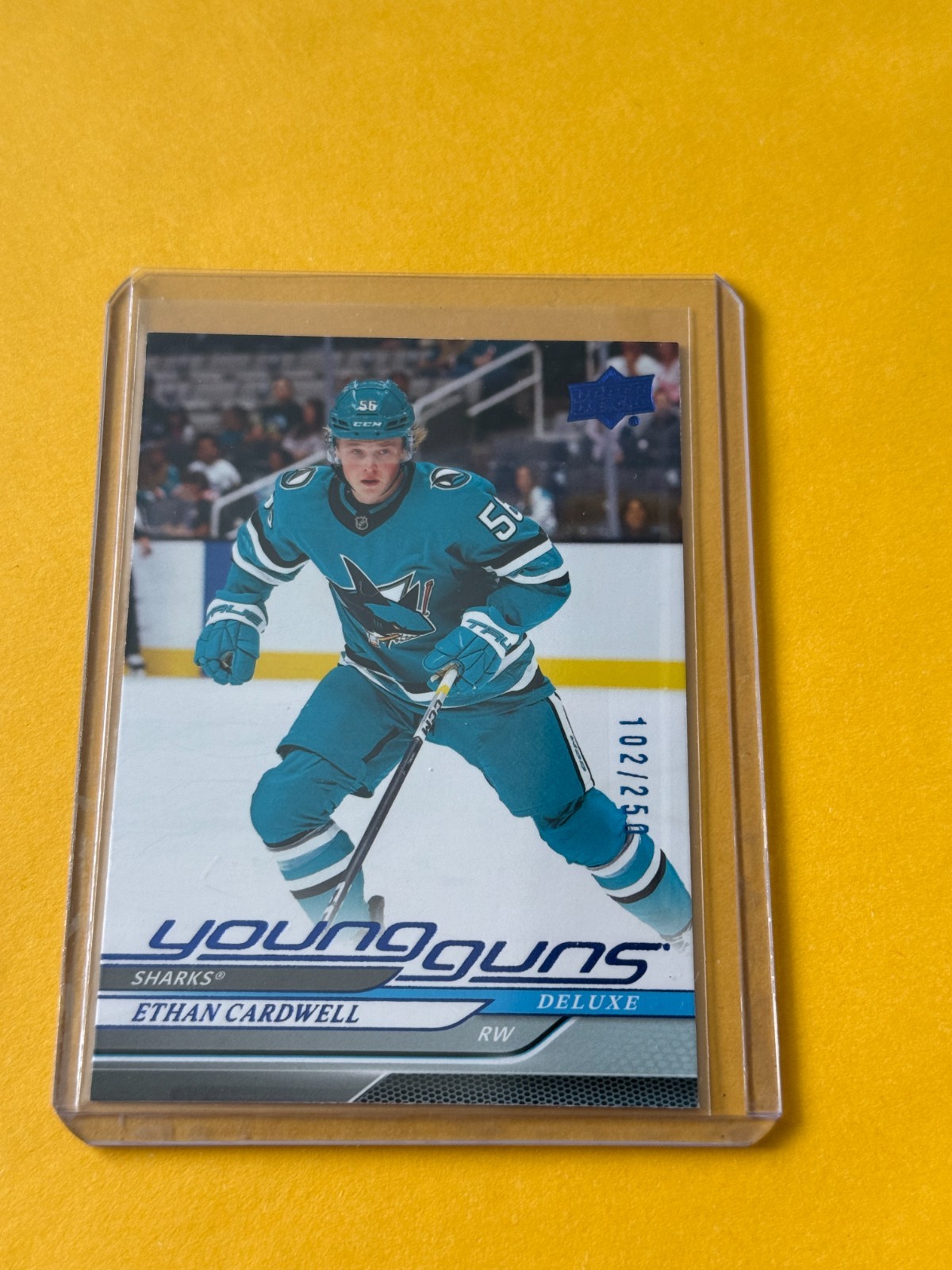 2024-25 Upper Deck Series 2 Ethan Cardwell Deluxe /250 Young Guns #459