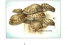 Turks and Caicos - 1994 - Mushrooms - Souvenir Sheet - MNH