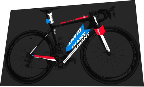 Advanced Pro Team Frame Decal Set 