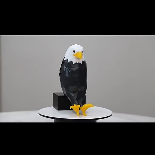 Modern creative charging atmosphere lamp animal projection bald eagle wall lamp - Picture 11 of 20