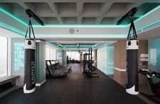 Pro Mountings - Professional Roller Mount Track for Heavy Bags, and Martial Arts