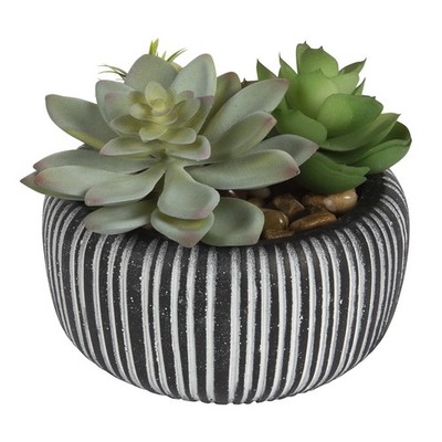 Better Homes & Gardens 4.72'' H Artificial Succulent Plant in Stone Pot