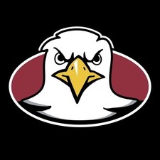 C17 Boston College Eagles College Team Logo Refrigerator Magnet