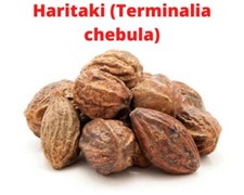 Haritaki Terminalia Chebula Indian Whole Herb Chebulic Myrobalan Harad Free Ship