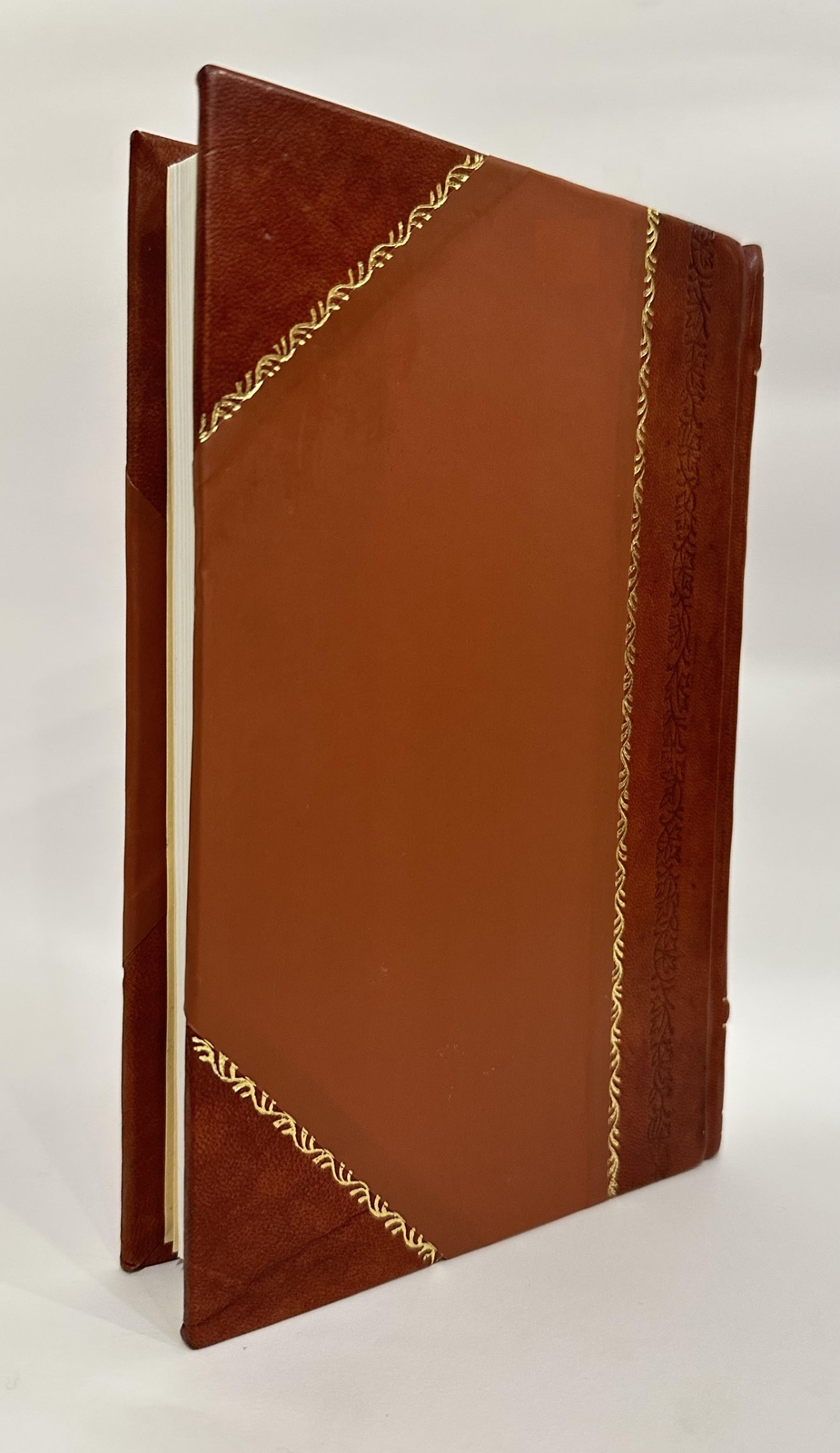 Matter and Some of Its Dimensions (1910)  [Leather Bound]