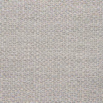 Sunbrella® Outdoor/Indoor Upholstery Fabric 54