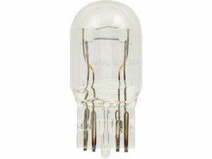 Rear Eiko Turn Signal Light Bulb Fits Ford Fusion 2010 2012 78wztt Ebay