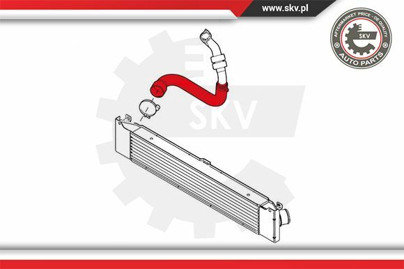 Esen SKV Ladeluftschlauch FüR Fiat Ducato Bus 250_ 290_ 115 Multijet 2.0 D-image
