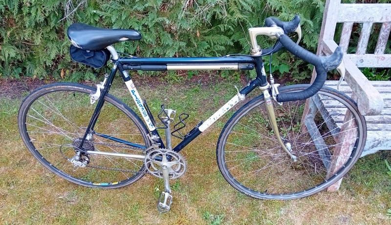 Pinarello Columbus Vintage Racing Push Bike Campagnolo Brakes Shimano Gears