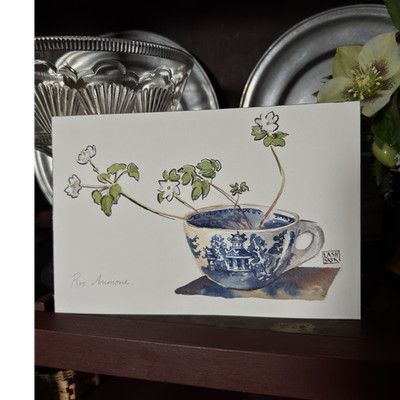 Original Watercolor of blue China teacup with Rue Anemone flowers 
