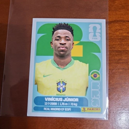 Vin Cius J Nior 2026 Panini Vin Cius J Nior #14