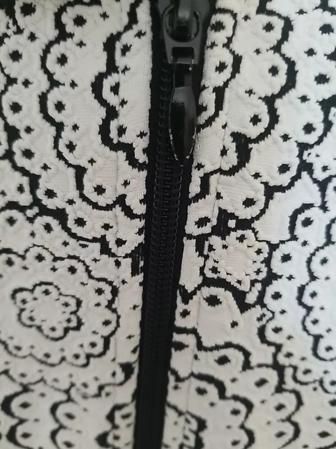 Picture 8 of 8