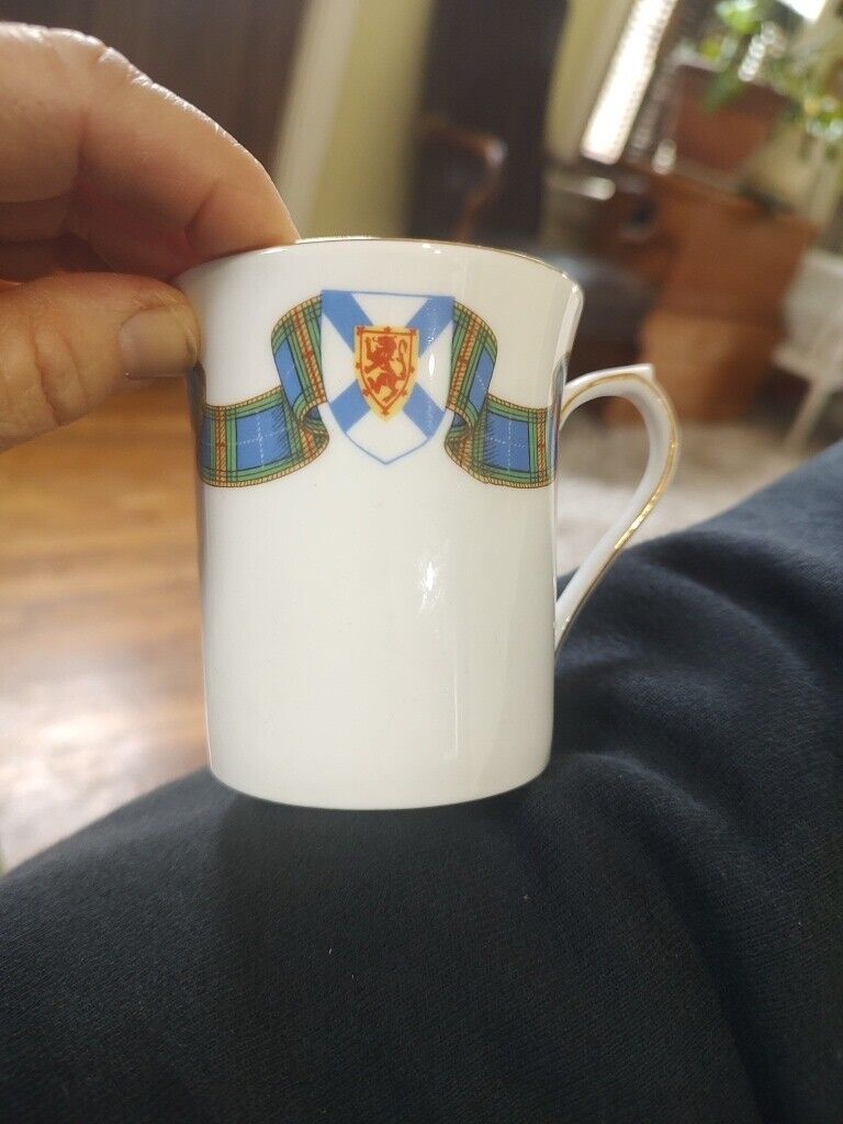 Foto 9 di 9