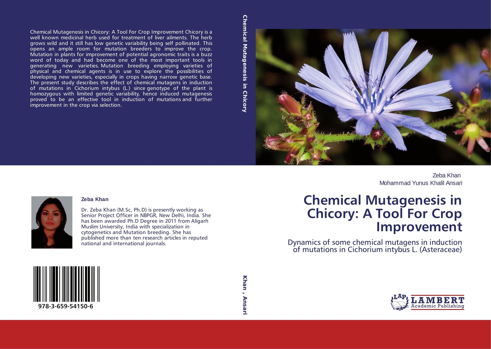 Thumbnail - Chemical Mutagenesis In Chicory: A Tool For Crop Improvement Zeba Khan