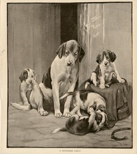 FOXHOUND ANTIQUE Dog Art Engraving Print 1893 Fanny Moody "A Troublesome Family"