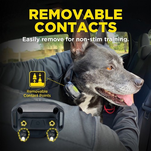 Dogtra 280X Remote 2-Dog Training e-Collar 1/2 Mile Range, Boost & XPP Vibration - Picture 18 of 24