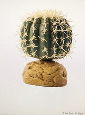 Exo Terra Barrel Cactus Small 