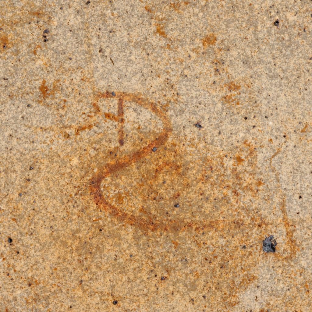 Picture 6 of 6