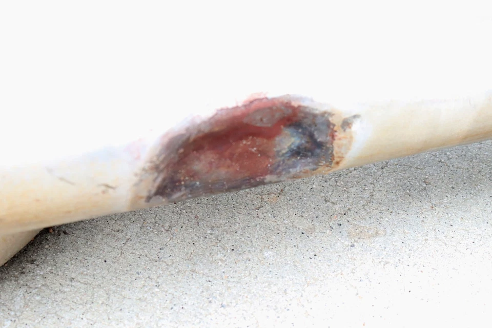 Cabezales de tubo largo Camaro Trans Am 93-97 1-3/4" con herrajes *USADOS* Foto 4 de 4