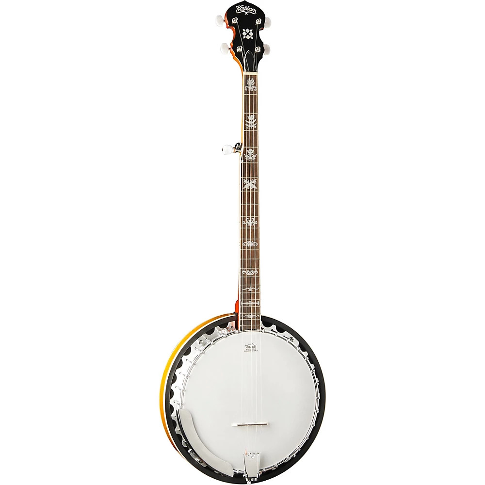 Washburn 5-струнный Banjo B10 Gloss Sunburst