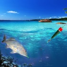 Bild 7 von 7