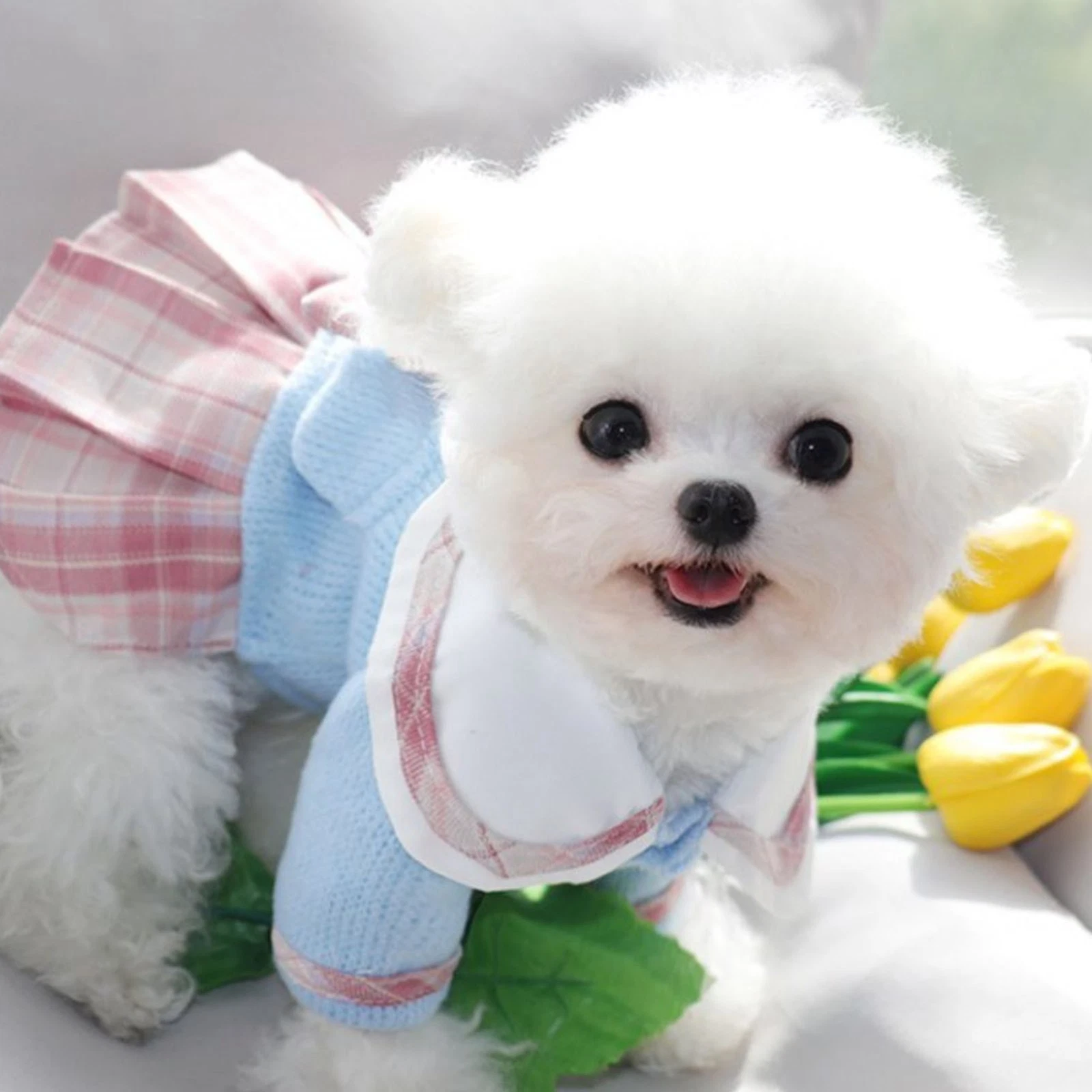 VETEMENTS JK Plaid Cane Vestito Cucciolo Gonna Cane Festa Costumi Cane Vestiti Fornitura Nuovo