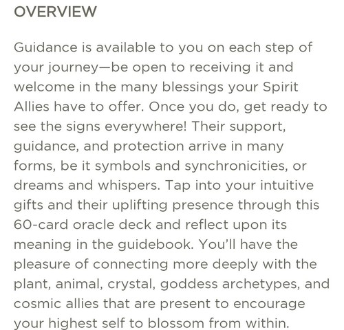 Spirit Allies Oracle |60 Card Deck + Guidebook Journal Promps Tarot Metaphysical - Picture 6 of 8