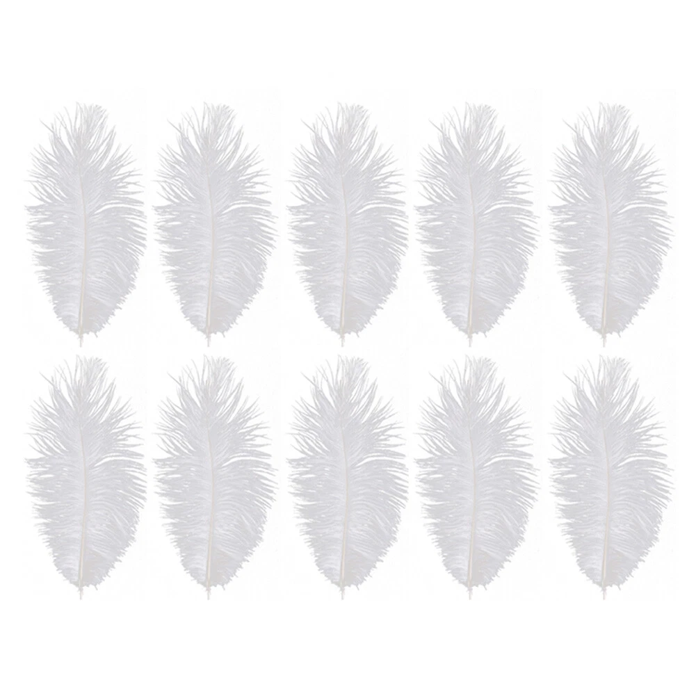 Black and white ostrich feathers sale