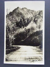 Newfound Gap Hwy Chimney Tops Smoky Mountains Real Photo Postcard RPPC 1930-50
