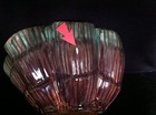 Foto 8 di 8